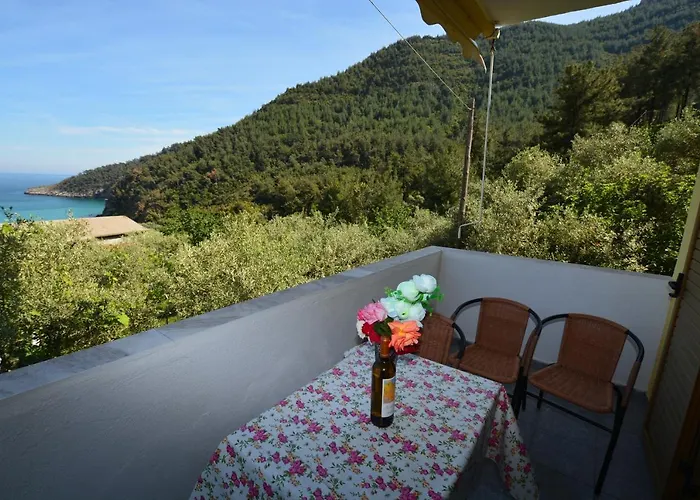 Agatha Paradise Hotel Koinira